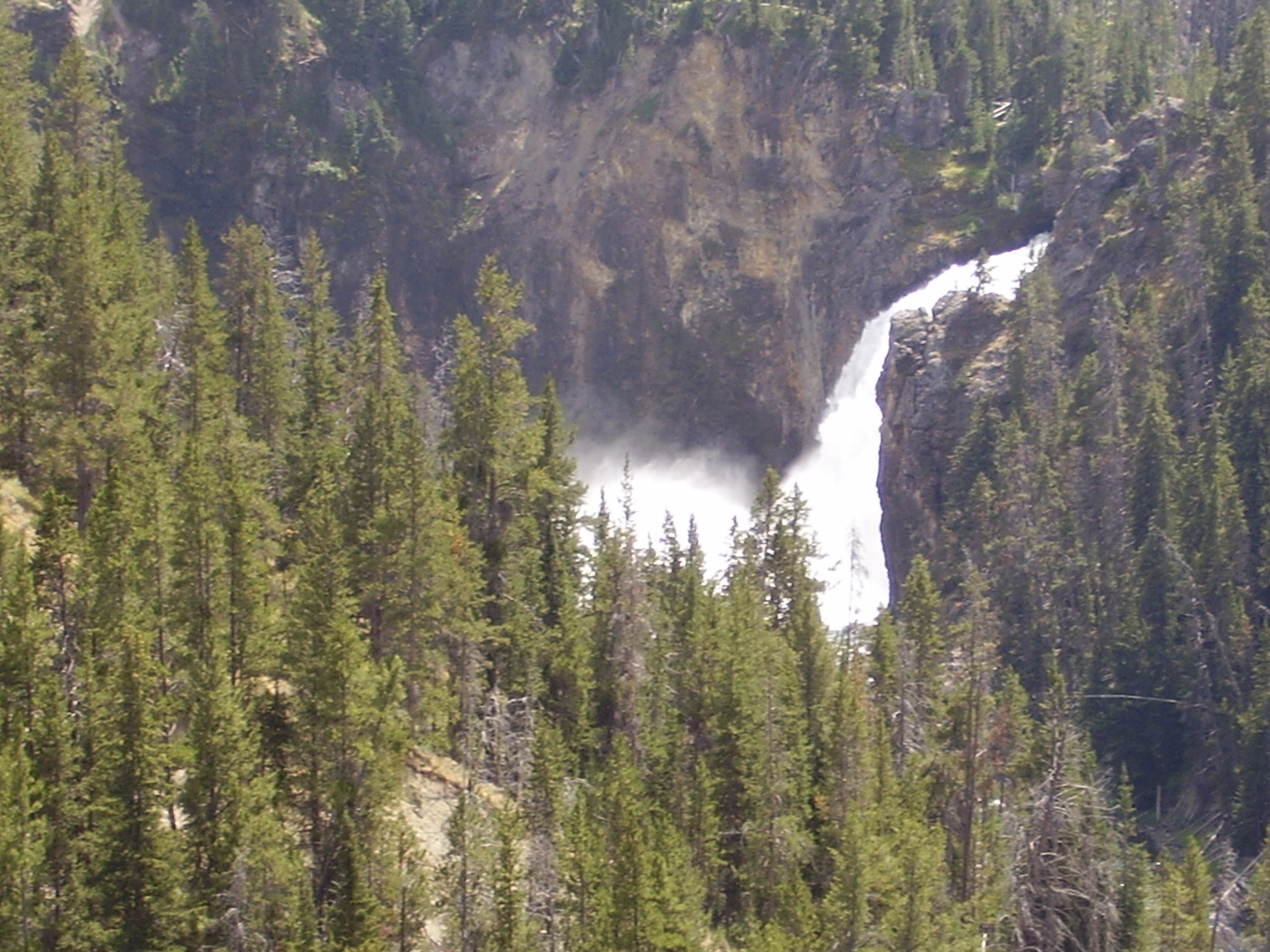 yellowstonefalls.jpg